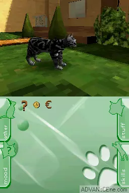 Image n° 3 - screenshots : My Pet Kitten